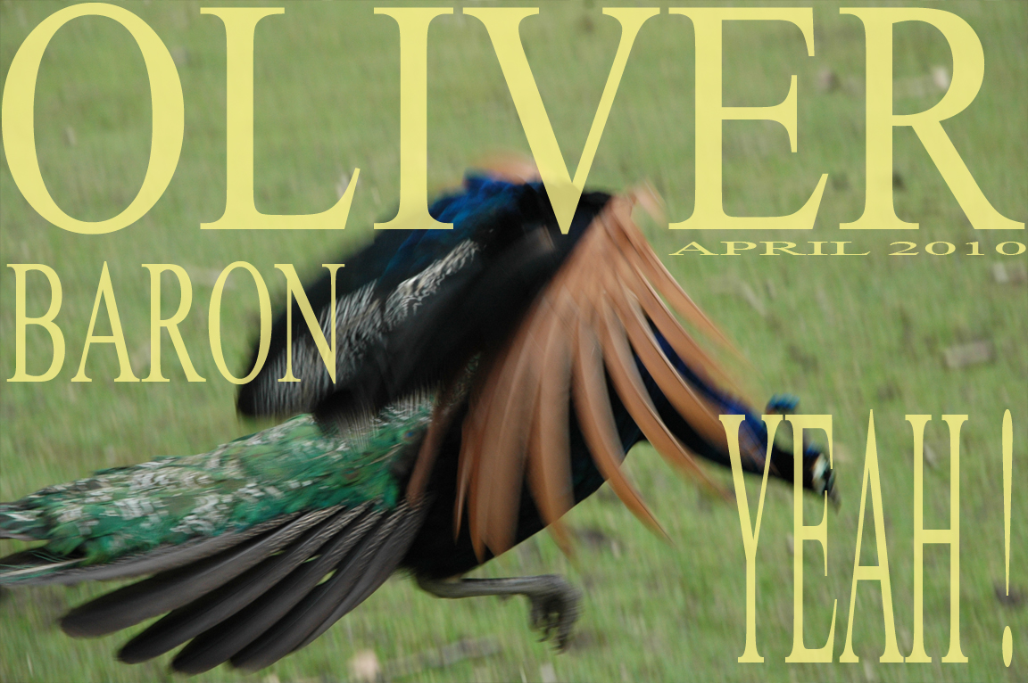 OLIVER BARON