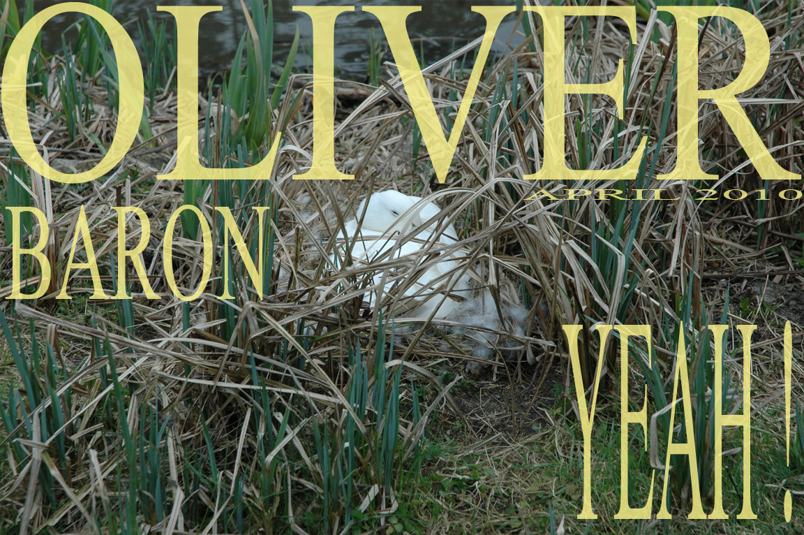 OLIVER BARON