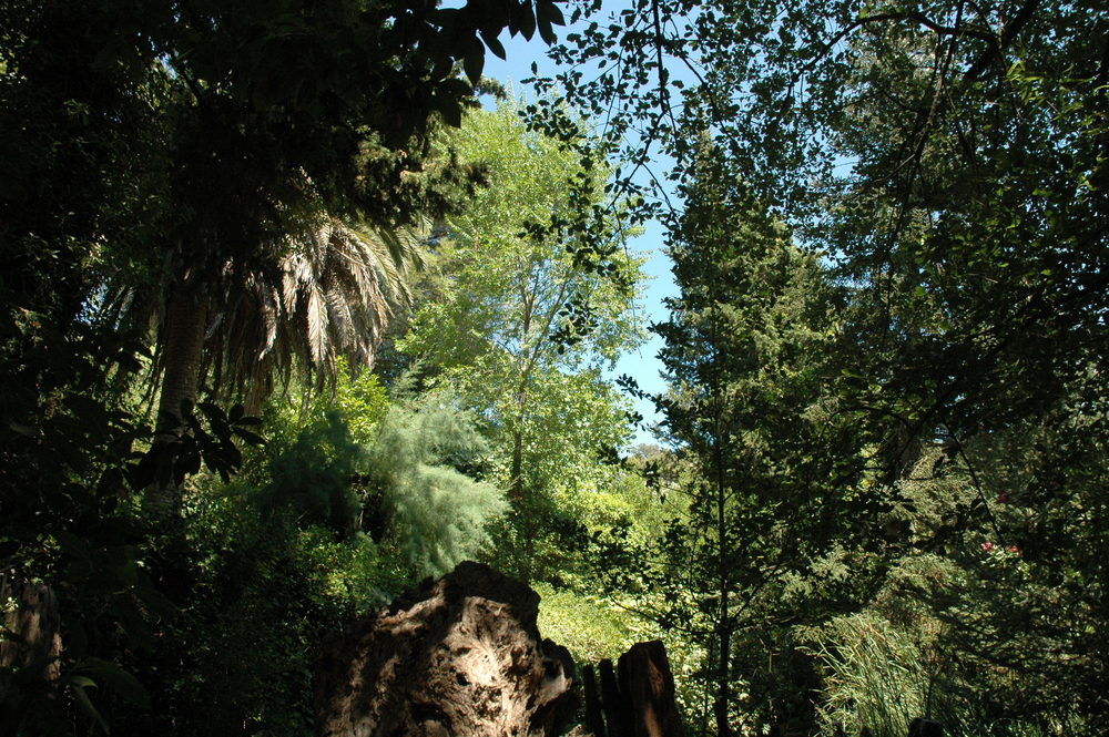 OLIVER BARON