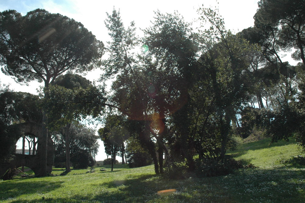 OLIVER BARON