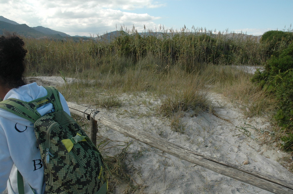 OLIVER BARON