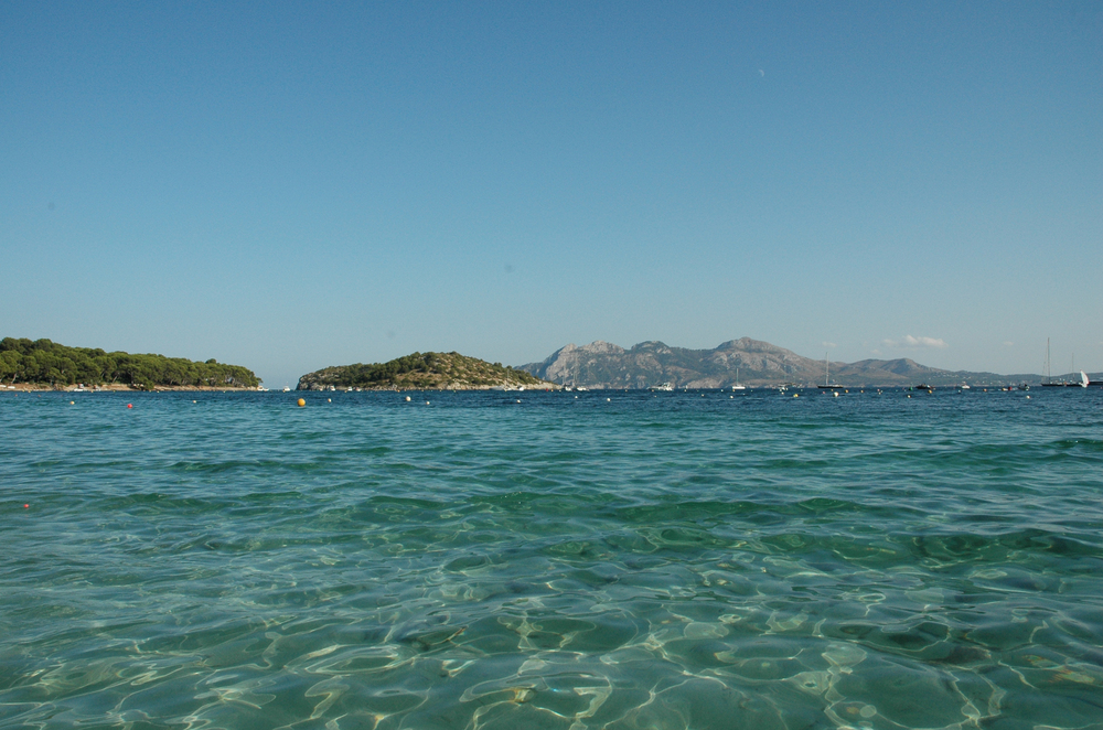 OLIVER BARON