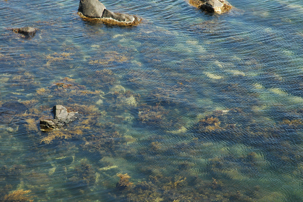OLIVER BARON