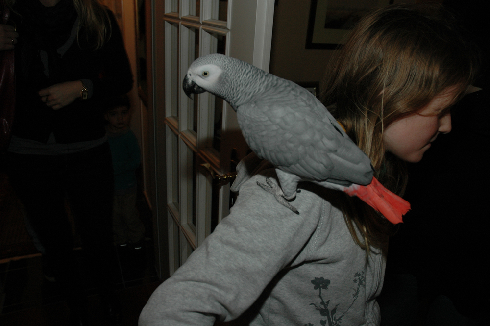 OLIVER BARON
