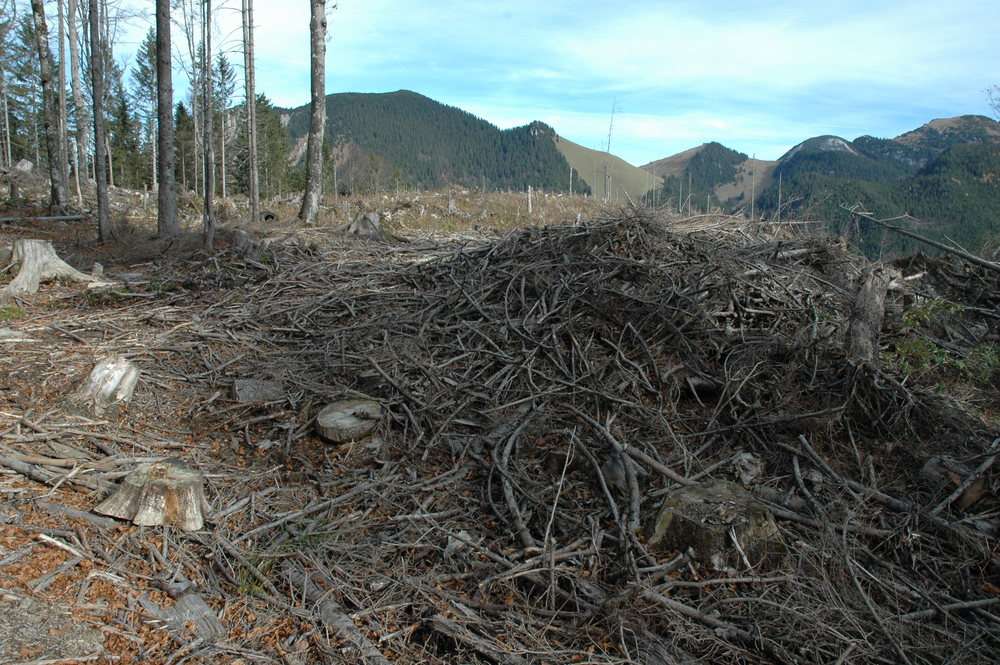OLIVER BARON