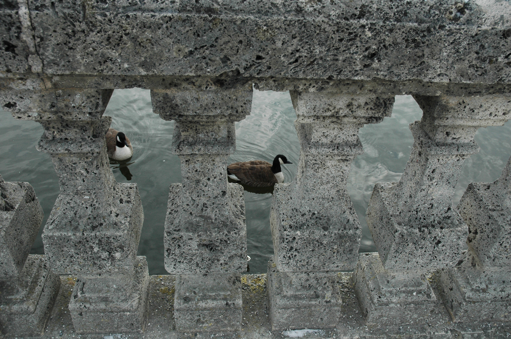 OLIVER BARON